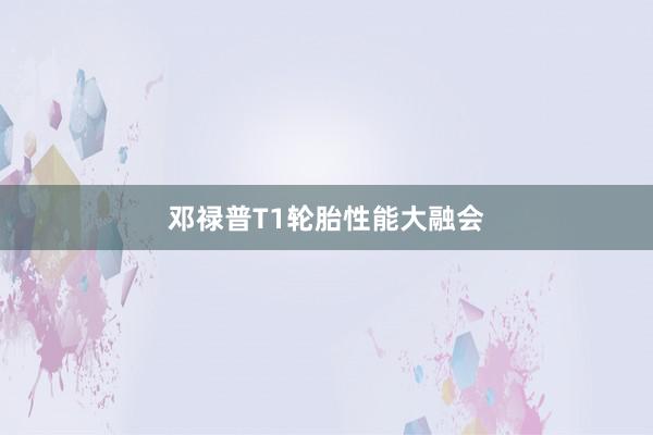 邓禄普T1轮胎性能大融会